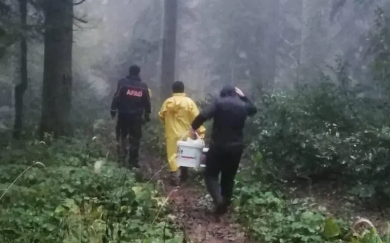 Mantar ararken ormanda kaybolan 2 kişi bulundu