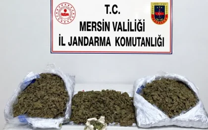Mersin’de jandarma ve emniyetten ortak operasyon: 2 şüpheli tutuklandı