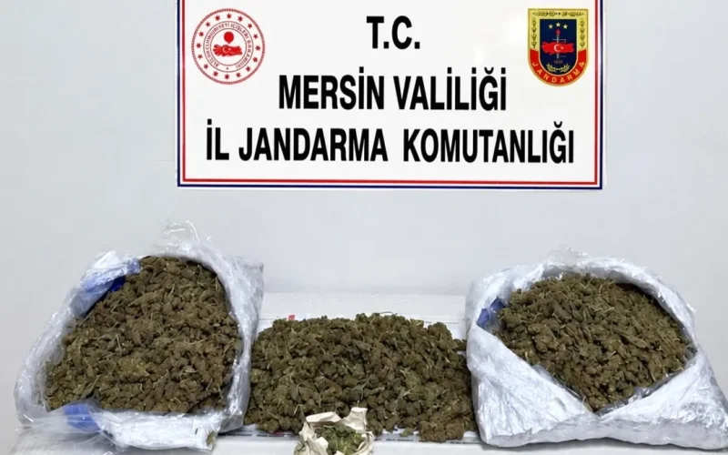 Mersin’de jandarma ve emniyetten ortak operasyon: 2 şüpheli tutuklandı